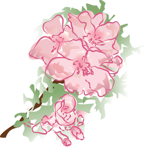 Illustration vectorielle de décoration fleur