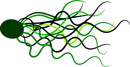 Flowing lines vector image