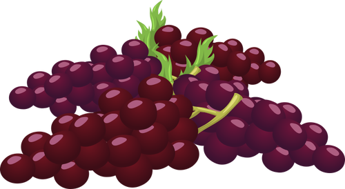 Cacho de uvas