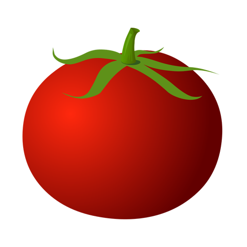 Färsk tomat