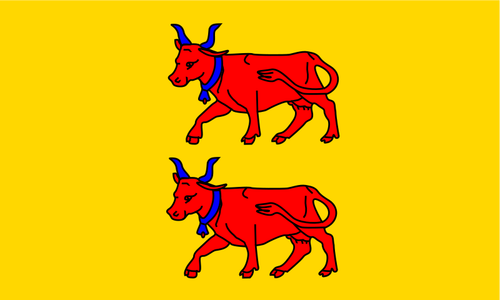 Bandera de la región de Bearn clip arte vectorial