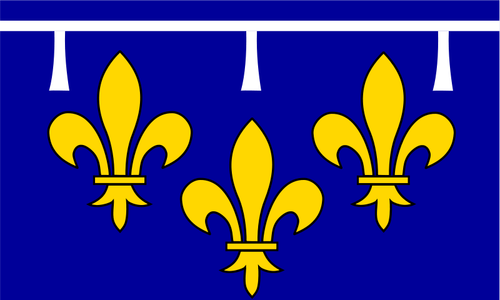 Orléanais क्षेत्र ध्वज ड्राइंग वेक्टर