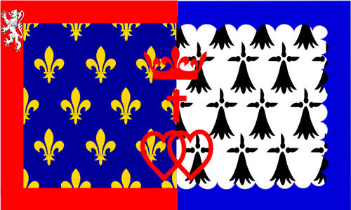 Betaler de la Loire regionen flagg vektor image