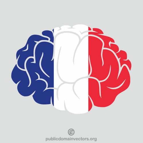 法国国旗大脑剪影