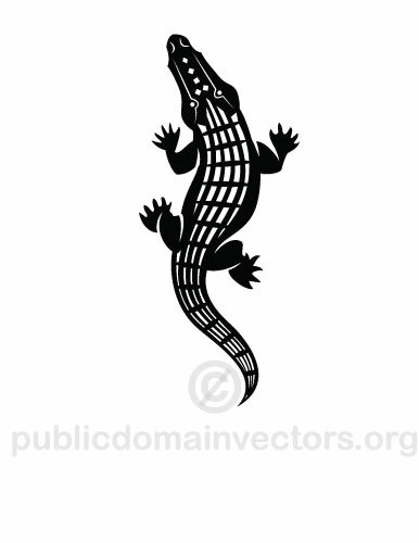 Alligator vektorbild