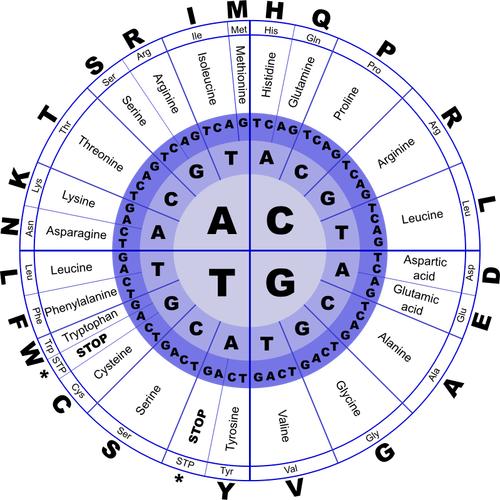 Kode genetik vektor gambar