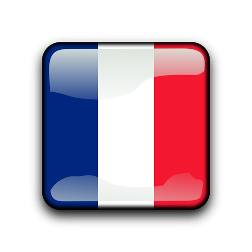 Botón de bandera de Guayana francesa