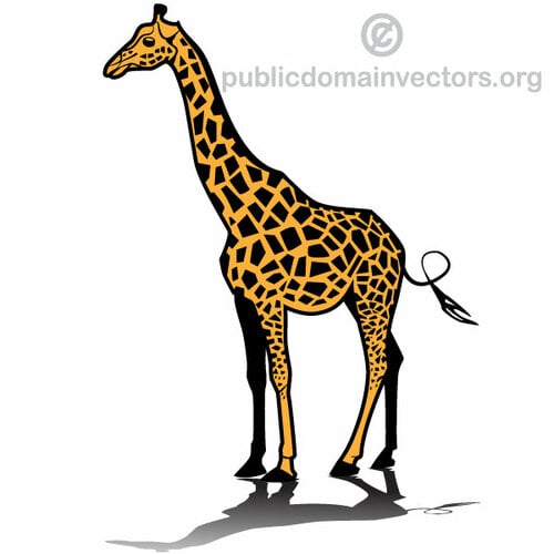 Žirafa vektorový obrázek