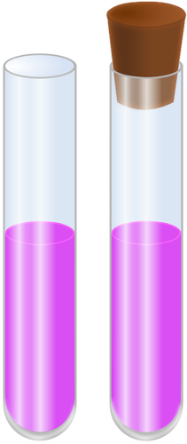 Vectorafbeeldingen van twee glazen buizen met vloeistof