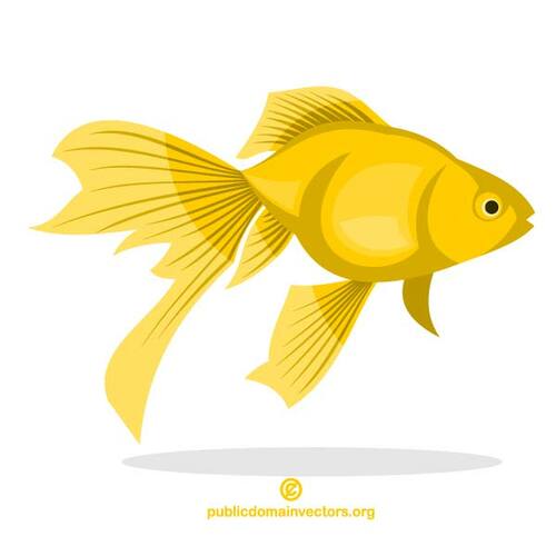 صورة متجه السمك الذهبي