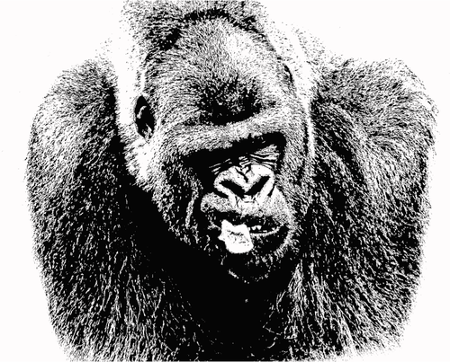 Gorilla tekening