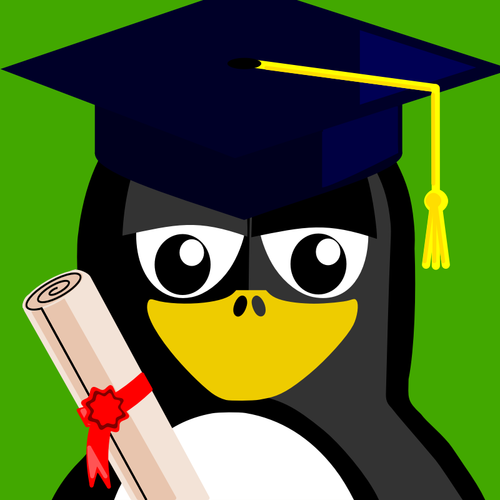 स्नातक स्तर की पढ़ाई की टोपी के साथ पेंगुइन
