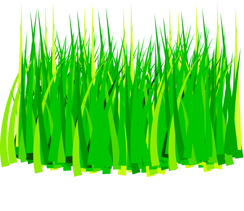 Feuilles d’herbe du printemps