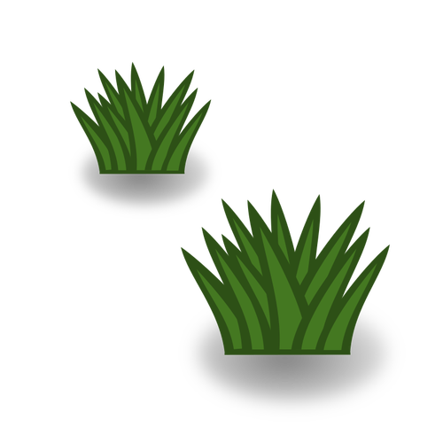 Dos arbustos hierba