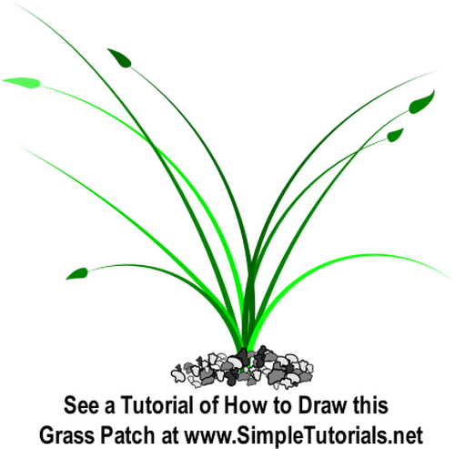 Vector illustration of wide growing grass patch