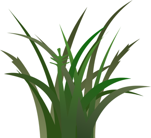 Tmavé trávy Vektor Klipart
