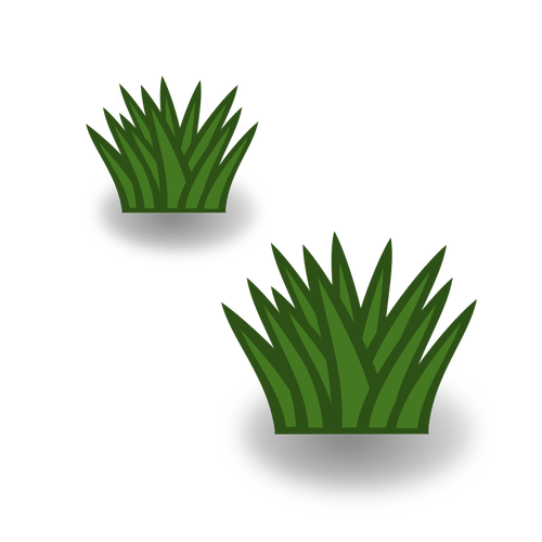 İki yeşil çalılar