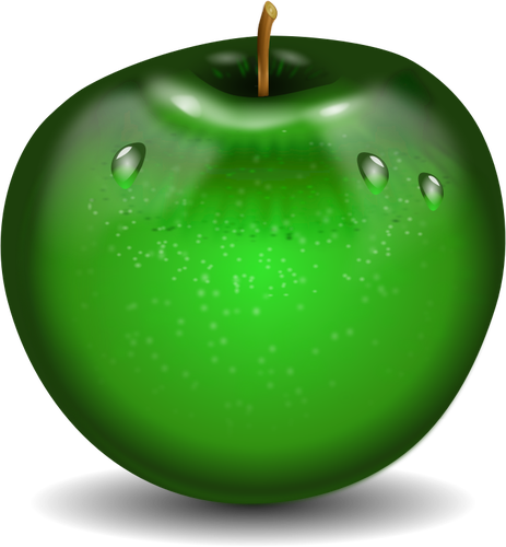 איור וקטורי של פוטוריאליסטית ירוק תפוח רטוב