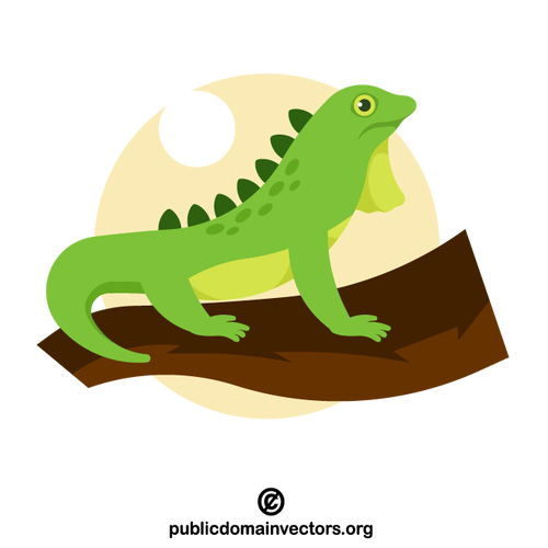 Reptil iguana verde