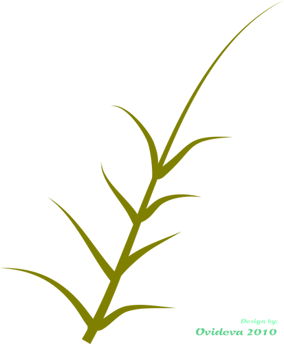 Grafica vettoriale di pianta verde che cresce al lato