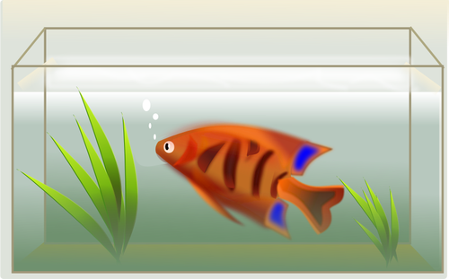 Orange ikan dalam akuarium vektor ilustrasi