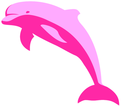 Rosa delfiner