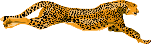 Leopard cheetah vektorbild