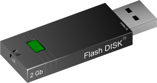 Immagine vettoriale disco flash di 2GB