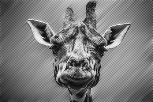 Giraffens huvud