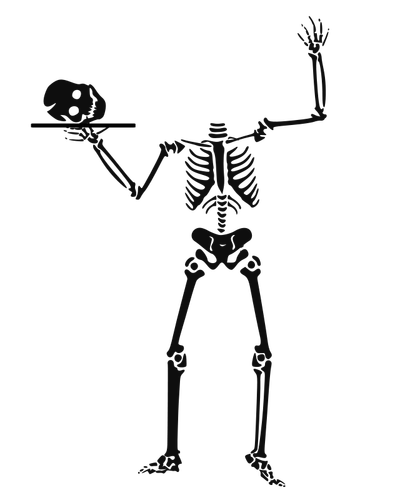Esqueleto humano, servindo de gráficos vetoriais de cabeça