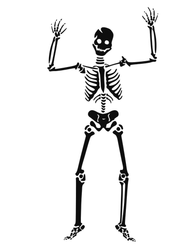Immagine vettoriale scheletro umano spaventoso