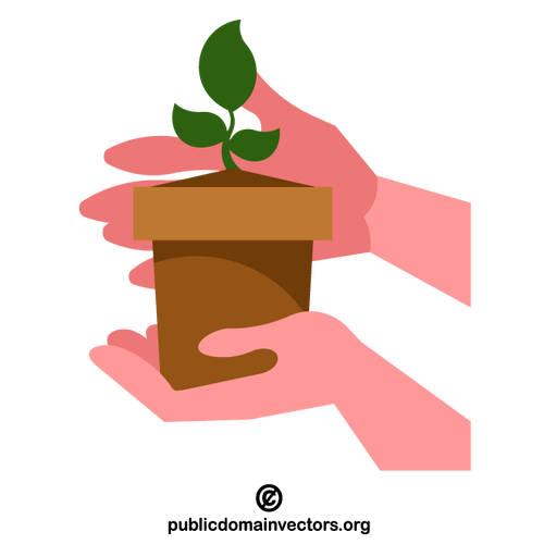 Tangan memegang kecambah tanaman dalam pot