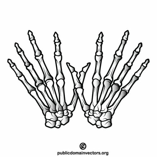 Squelette de mains