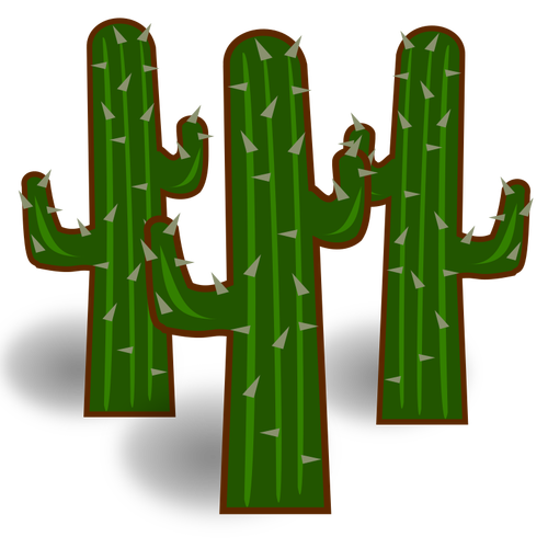 Trei cactus