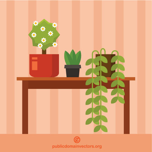 Indoor-Pflanzen
