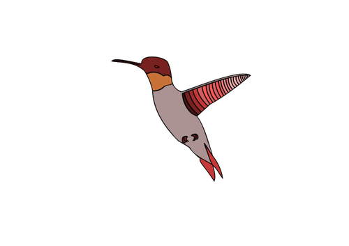 Immagine di vettore di volo di uccello di ronzio