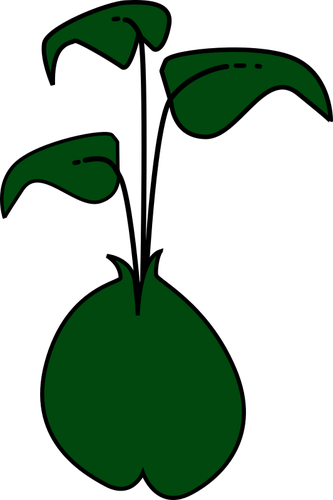 Vector illustraties van plant met drie donkergroene bladeren