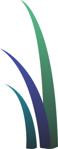 Immagine di tre foglie di erba colorata