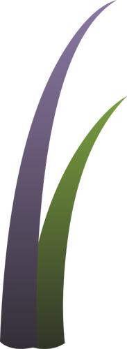 Vector drawing of purple and green llmenskie plant