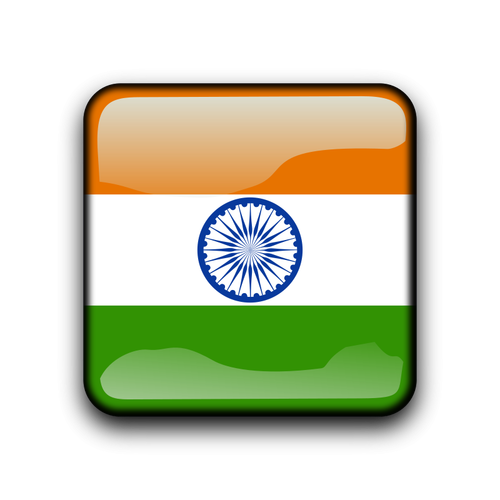 印度的国旗插按钮