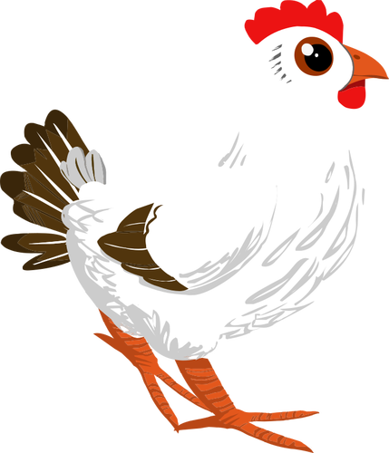 Vit kyckling