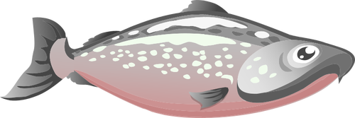 Immagine di salmone