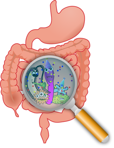 Fiesta en la ilustración del vector de intestinos