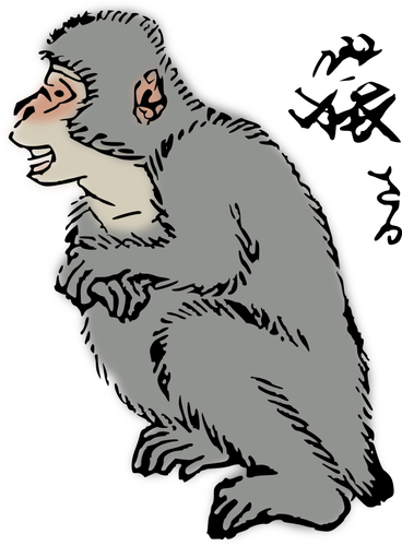 Macaque japonais