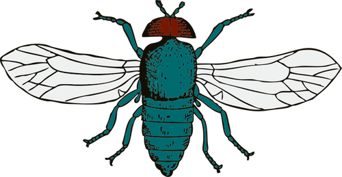 Vektorové ilustrace moucha Masařka