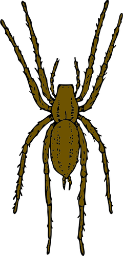 Ilustraţia vectorială de păianjen maro