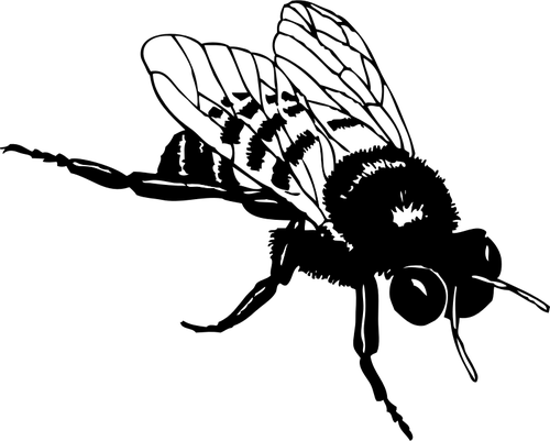 मधुमक्खी bumble के वेक्टर क्लिप आर्ट