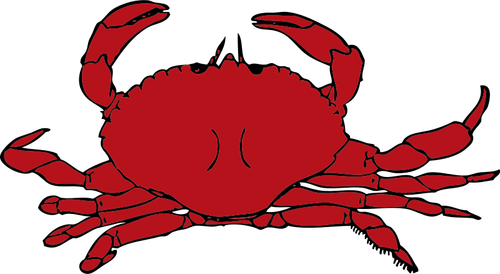 Vektorgrafik med röd krabba