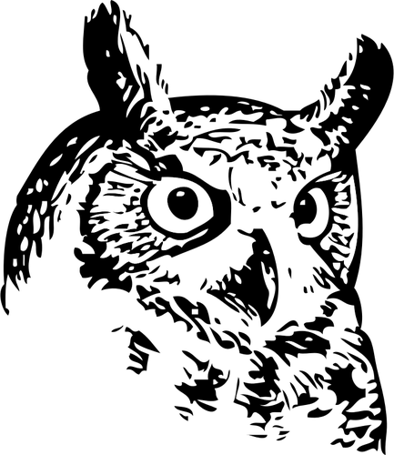 Owl head vector image