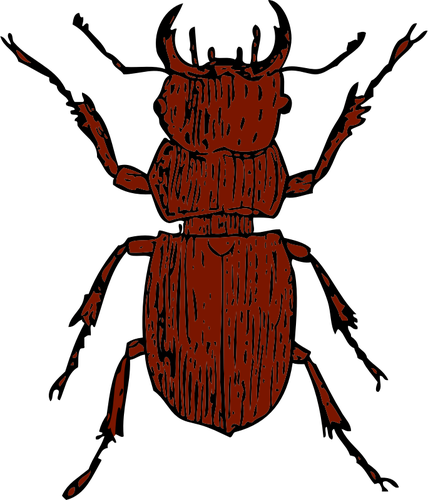 Grafica vettoriale di stag beetle